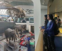 IMG 20230717 112557